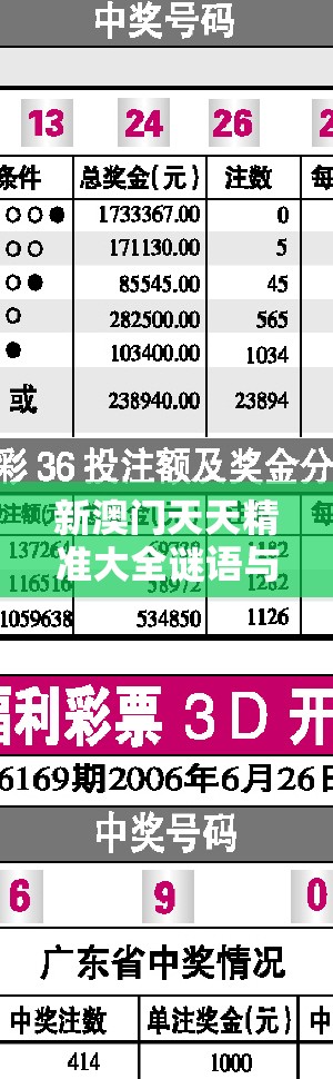 新澳门天天精准大全谜语与2025港彩开奖历史记录，效果解读、专家解析解释与落实