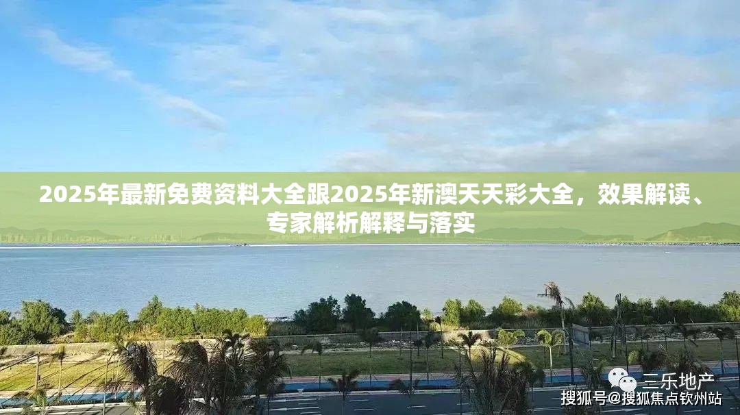 2025年最新免费资料大全跟2025年新澳天天彩大全，效果解读、专家解析解释与落实