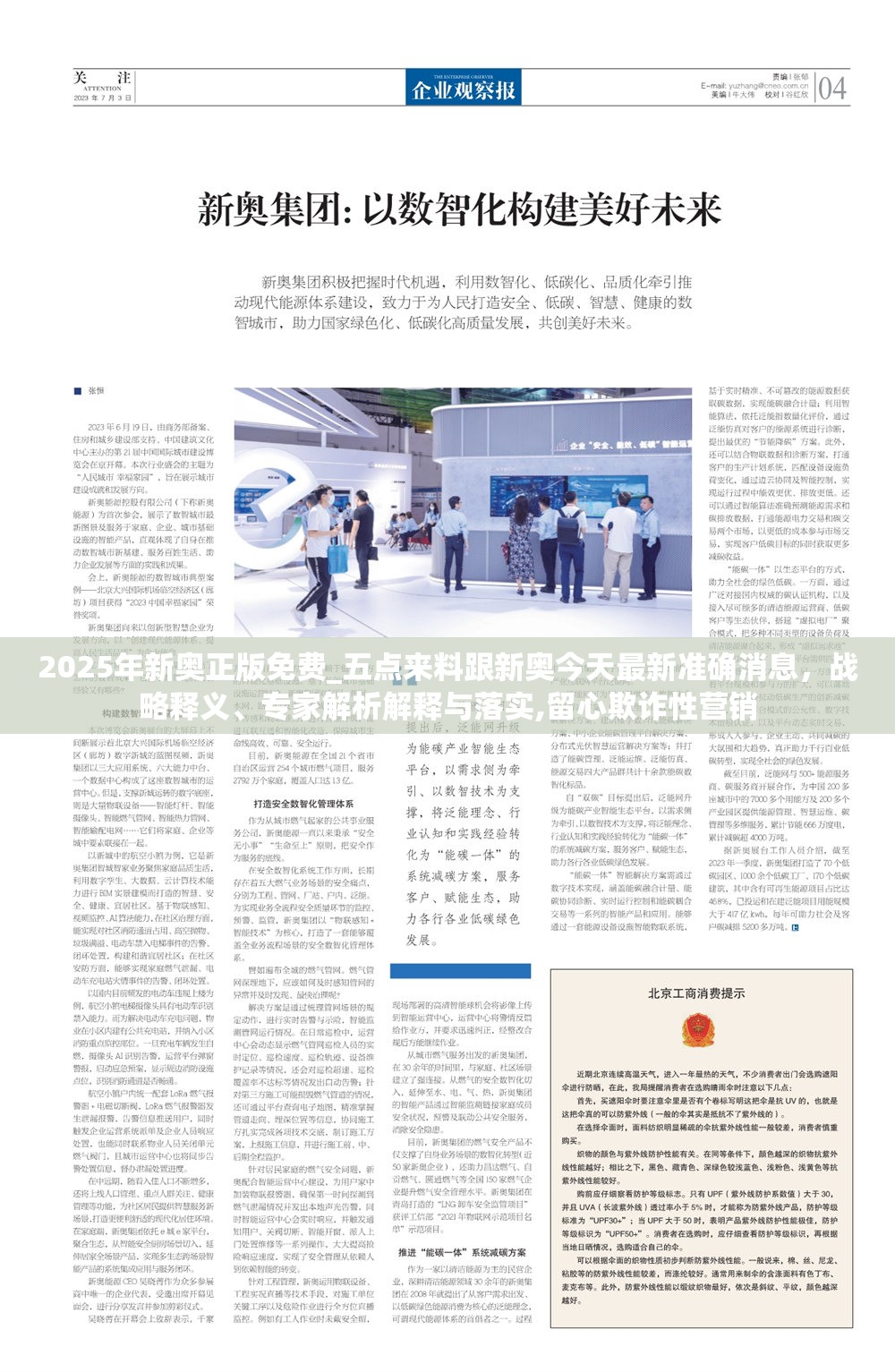 战略释义与专家解析