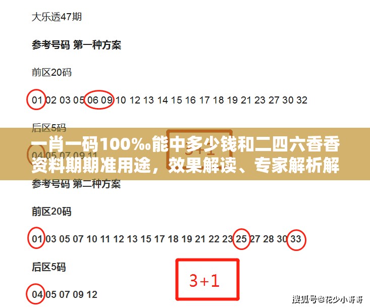 一肖一码100‰能中多少钱和二四六香香资料期期准用途，效果解读、专家解析解释与落实